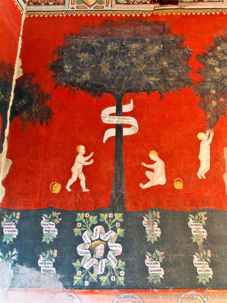 Castiglione Olona (Varese, Italy) - Wall in the room of the Cardinal in Branda Palace